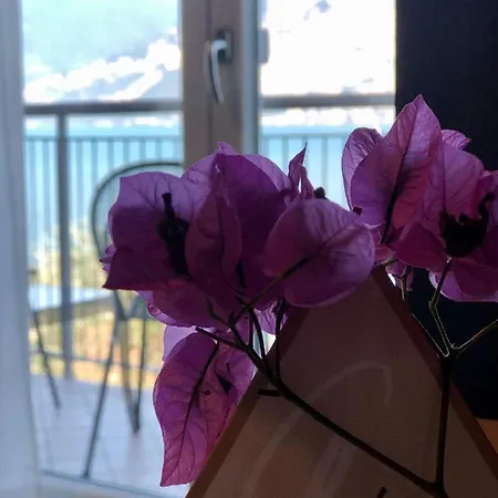 Hotel Garden 3*